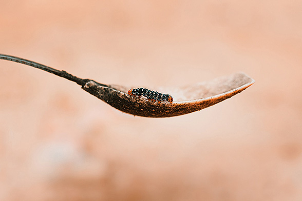 IMG-BLOG