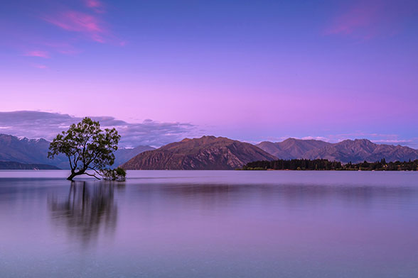 IMG-BLOG